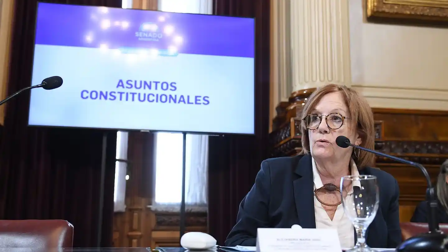 Alejandra Vigo, senadora nacional bloque Provincias Unidas, encabezará el plenario de las comisiones de Asuntos Constitucionales y Justicia. Foto: GABRIEL CANO/ Comunicación Senado