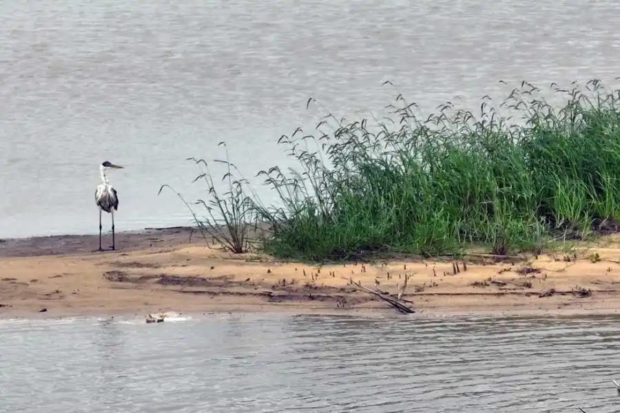 El río Paraná se recupera: volvería a superar los tres metros en Santa Fe