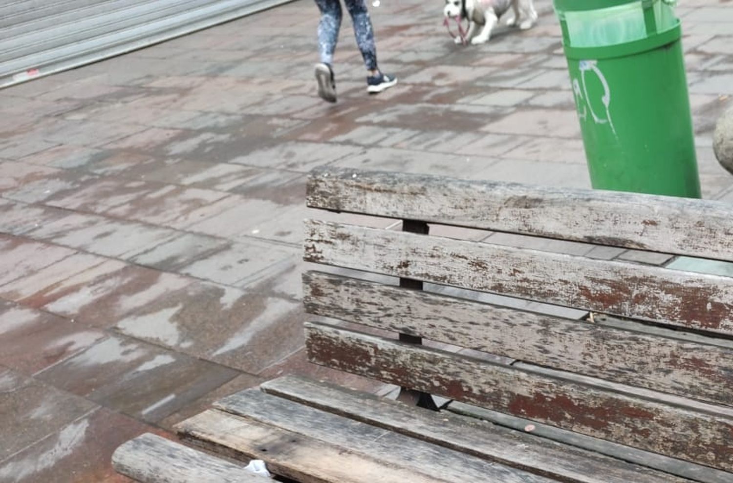 Peatonal San Martín: una imagen que avergüenza a Mar del Plata