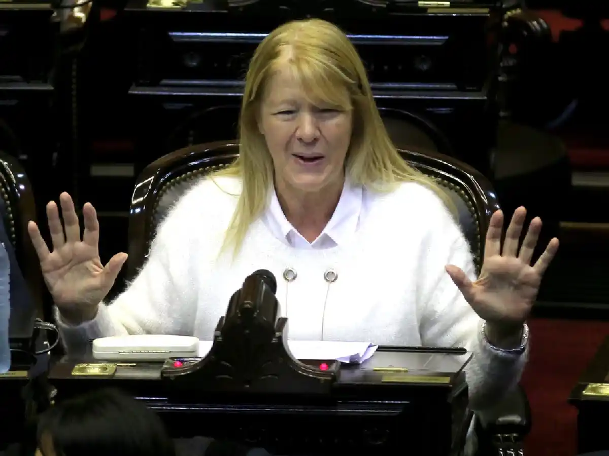 Stolbizer puso en duda "las capacidades" de los funcionarios 