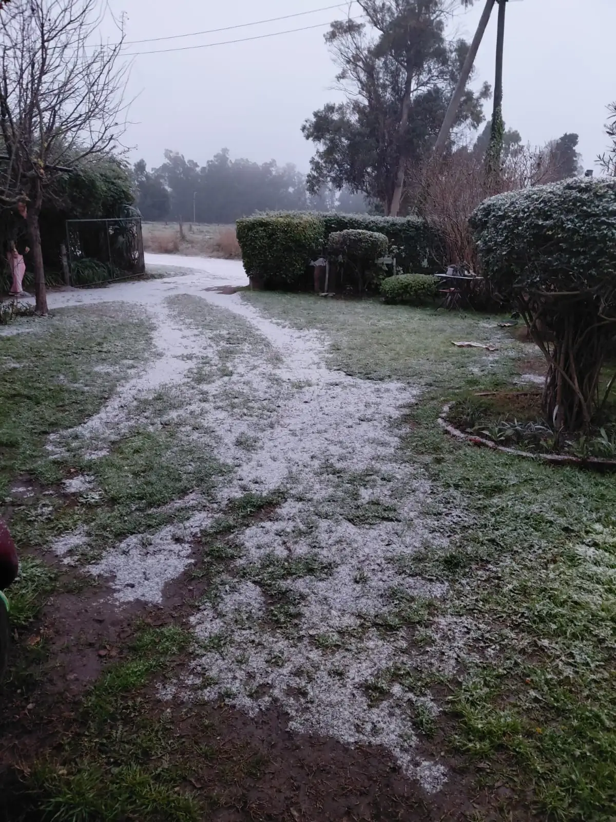 fotos - 2