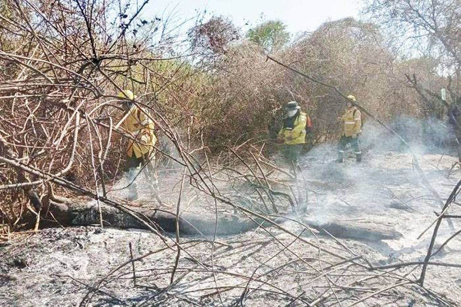 No hay actividad ígnea en el territorio provincial