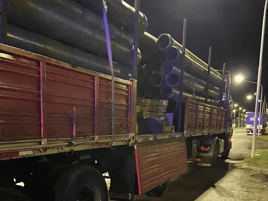 Más de 500 aves silvestres fueron rescatadas en la región mientras las traficaban en un camión