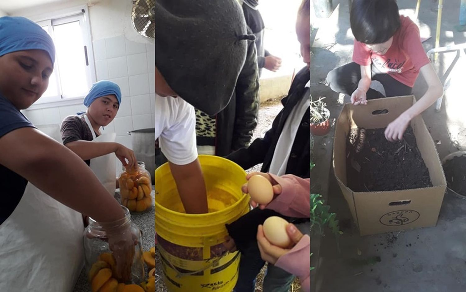 Qué hacen y qué aprenden los más de 300 alumnos de la escuela Agraria en Río Tala