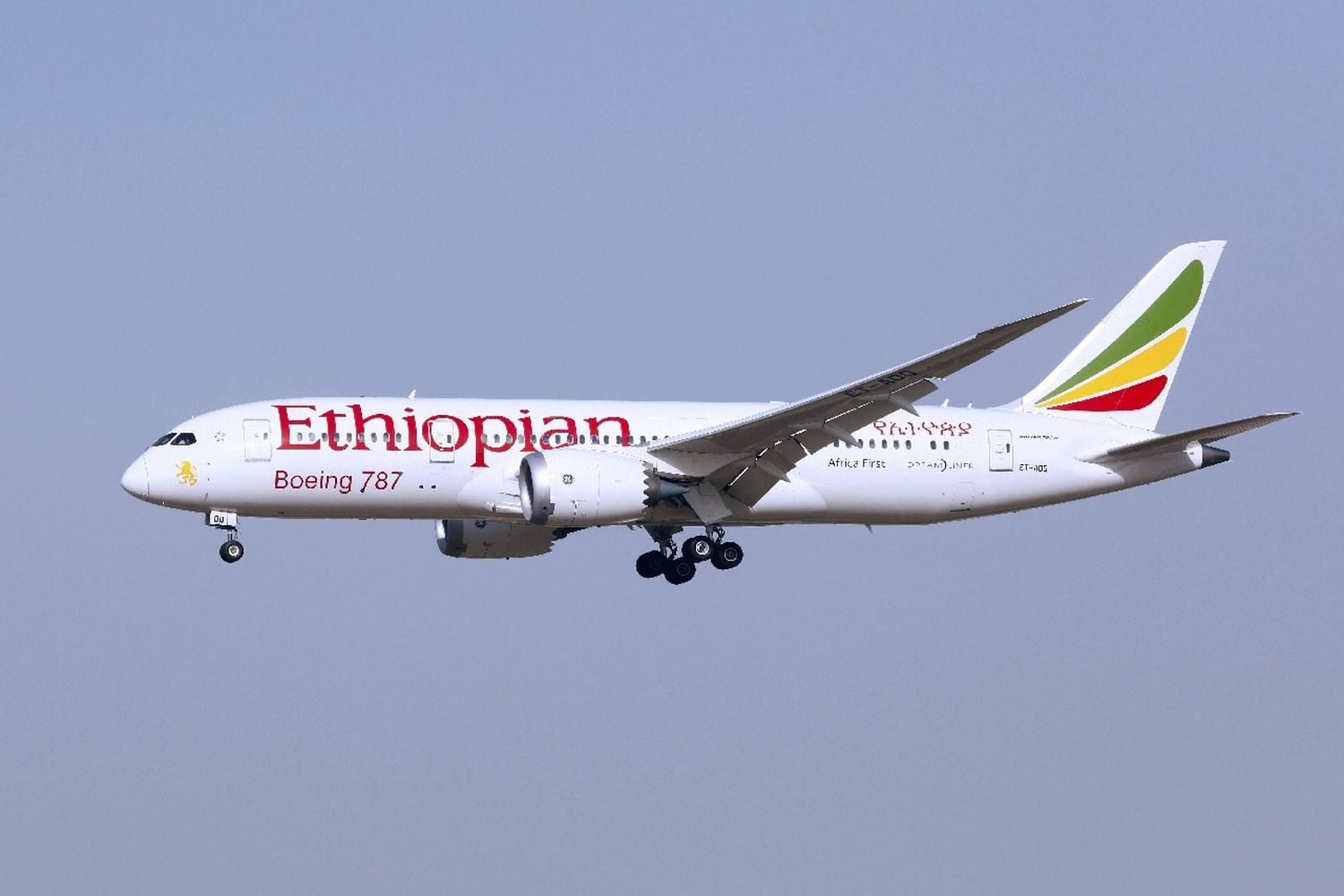 ¿Llega finalmente Ethiopian Airlines a la Argentina?