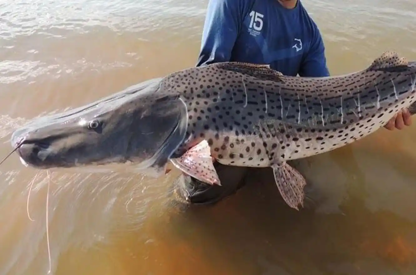 Se presentó el 35° Concurso Argentino de Pesca del Surubí
