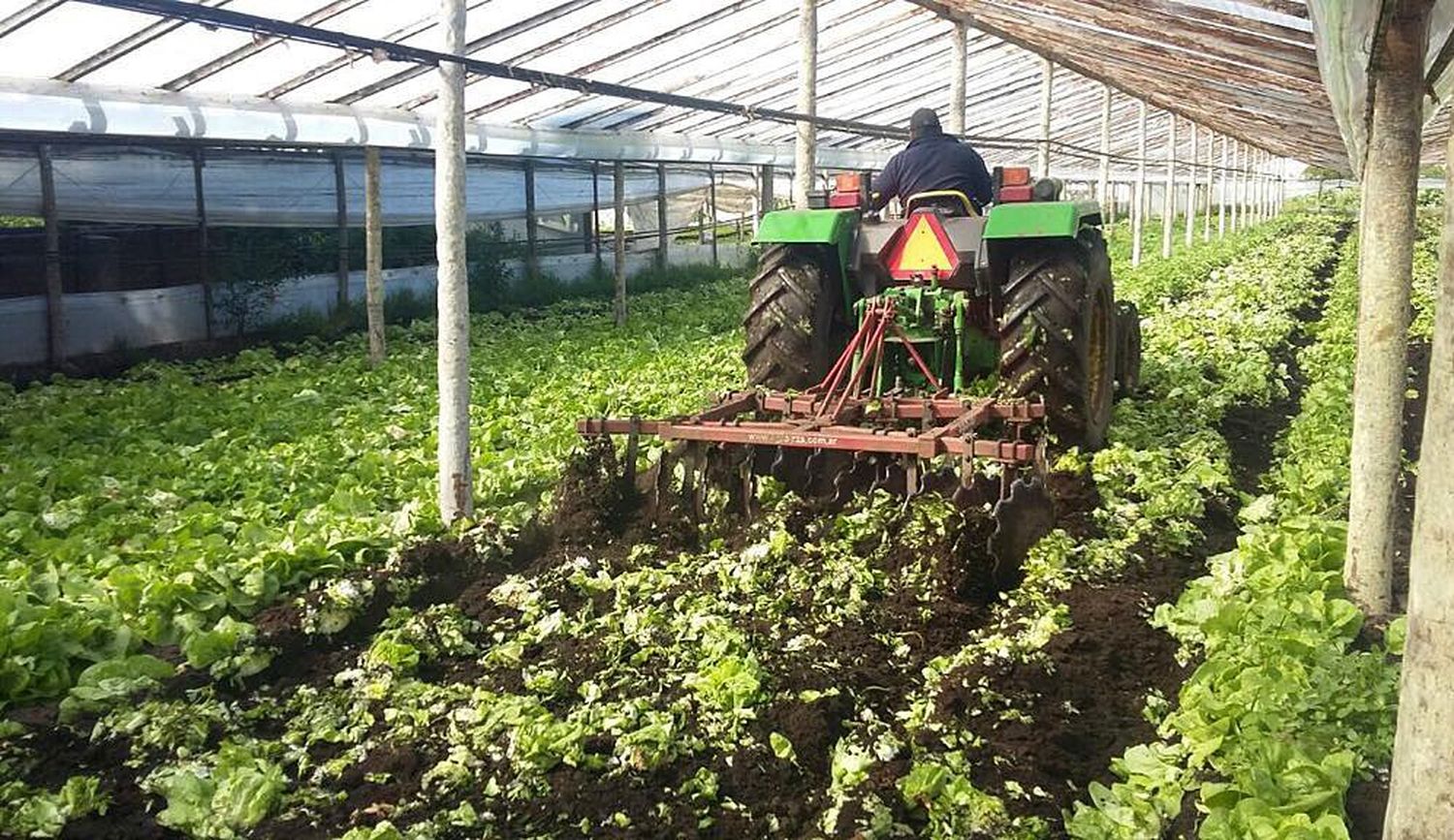 La Sociedad Rural local, en alerta: denuncian subas de tasas del 400%