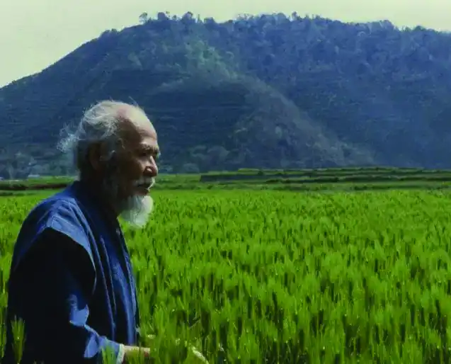 Masanobu Fukuoka, el japonés que escuchó a la tierra y sembró la revolución del suelo