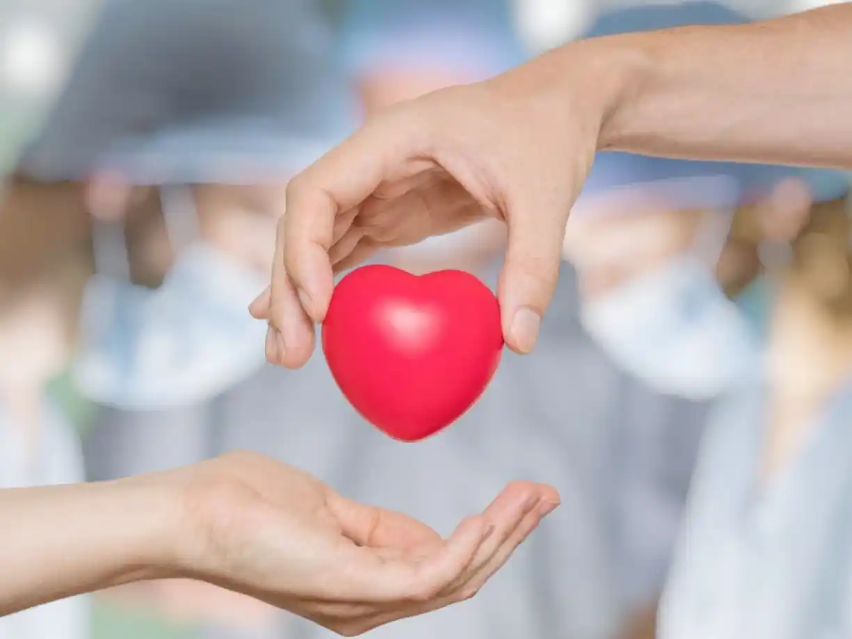 Crece el número de donantes de médula ósea en la Argentina; en 2024 ya eran casi 600 voluntarios