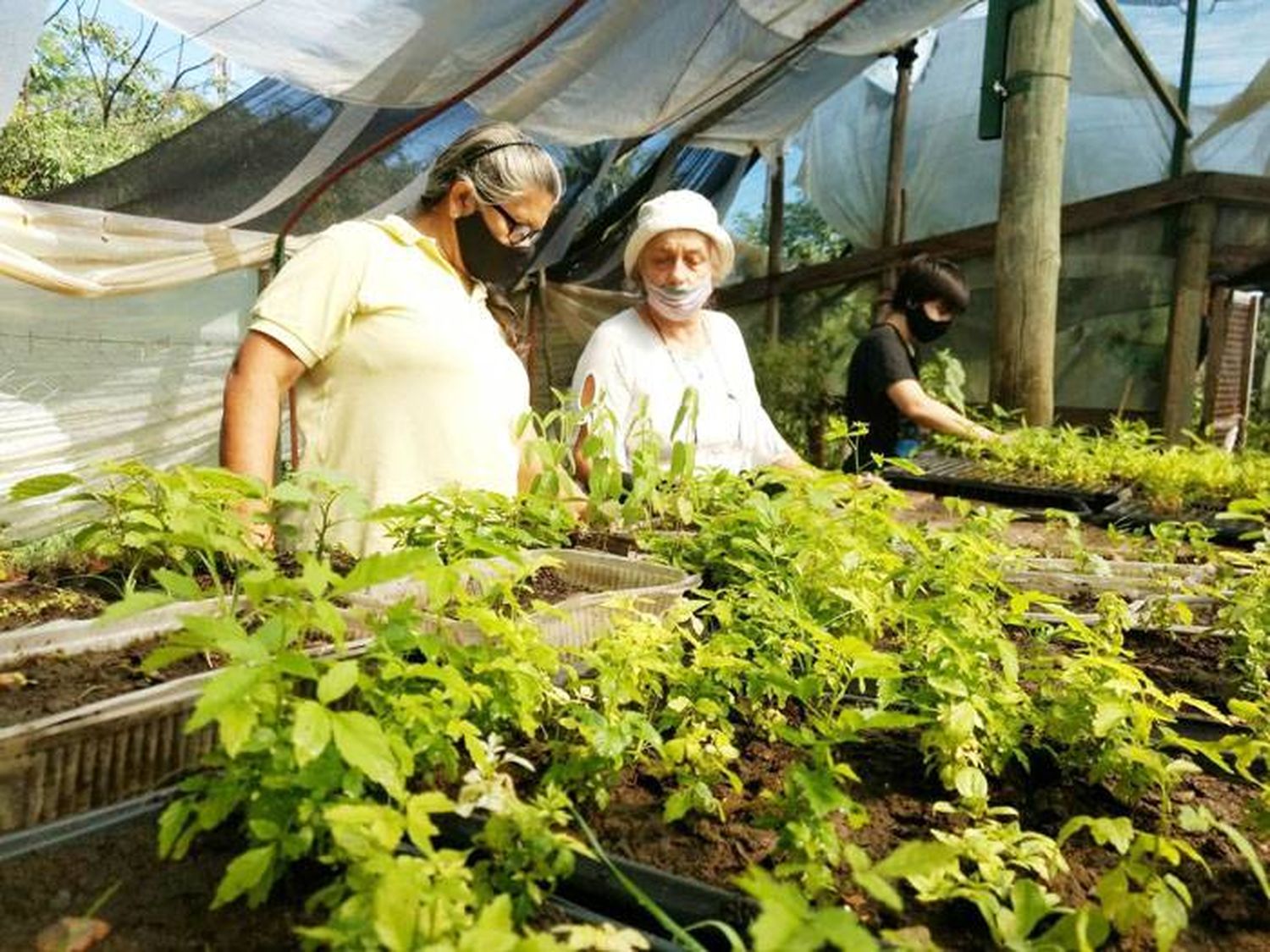 Comenzaron las actividades del voluntariado en el Vivero  Municipal y Jardín Botánico