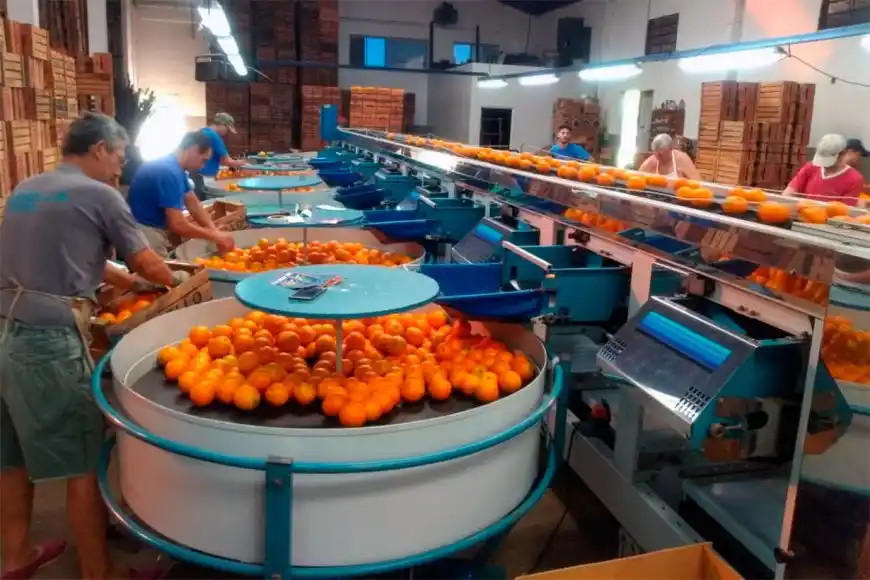 El pedido de la Federación del Citrus: "no vengan a nuestras ciudades"