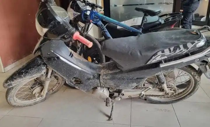 SECUESTRARON PLANTAS DE CANANABIS SATIVA QUE HABÍA SUSTRAÍDO UN JOVEN DESDE UNA VIVIENDA DE ESPERANZA - 1