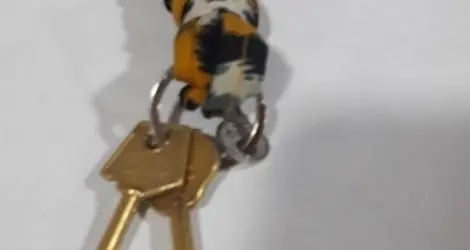 Llaves encontradas