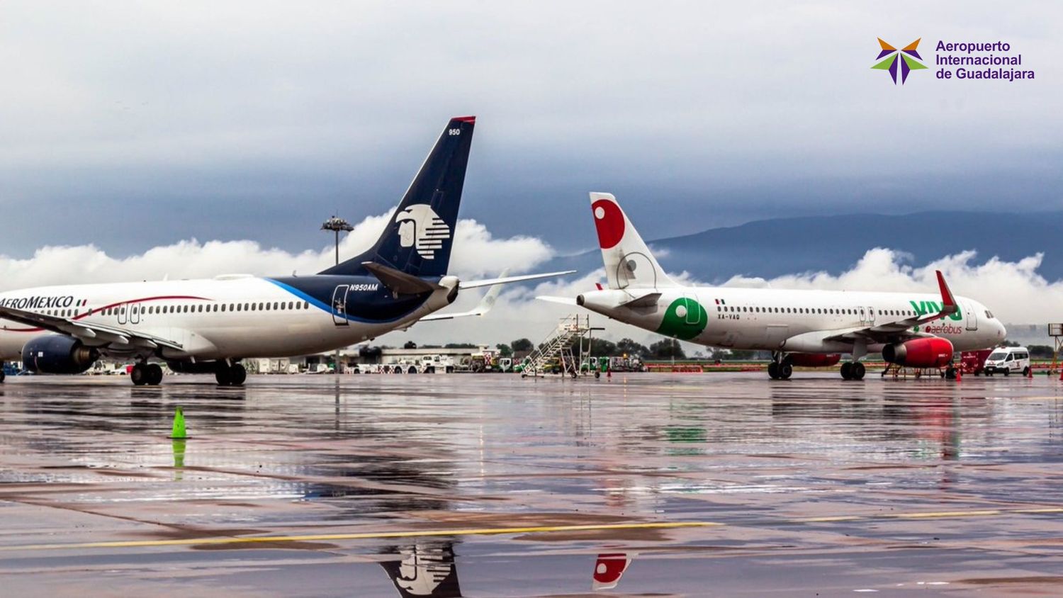 Diana Olivares: Aerolíneas de México perdieron más de mil millones de dólares por la rebaja de la calificación de seguridad