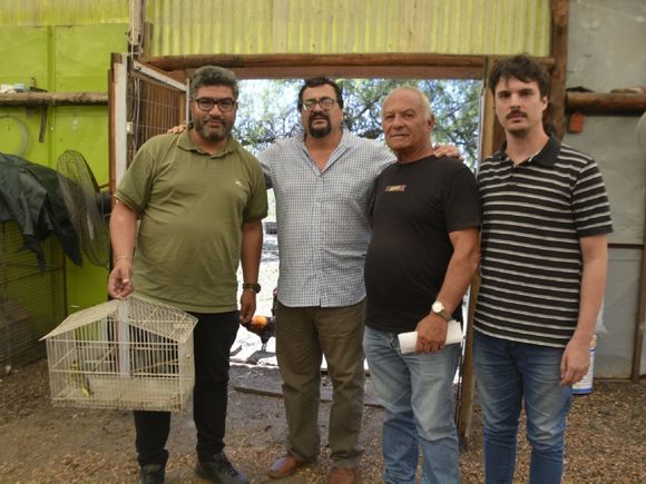Personal de Recursos Naturales rescató para su recuperación un ejemplar de Cardenal Amarillo