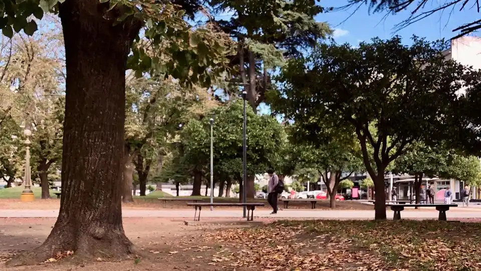 El otoño comenzó, oficialmente, el pasado viernes 20 de marzo en el hemisferio sur.