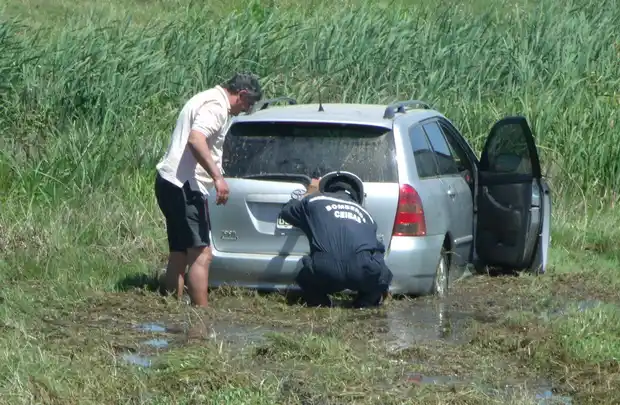 Un vehículo despistó en la Autovía