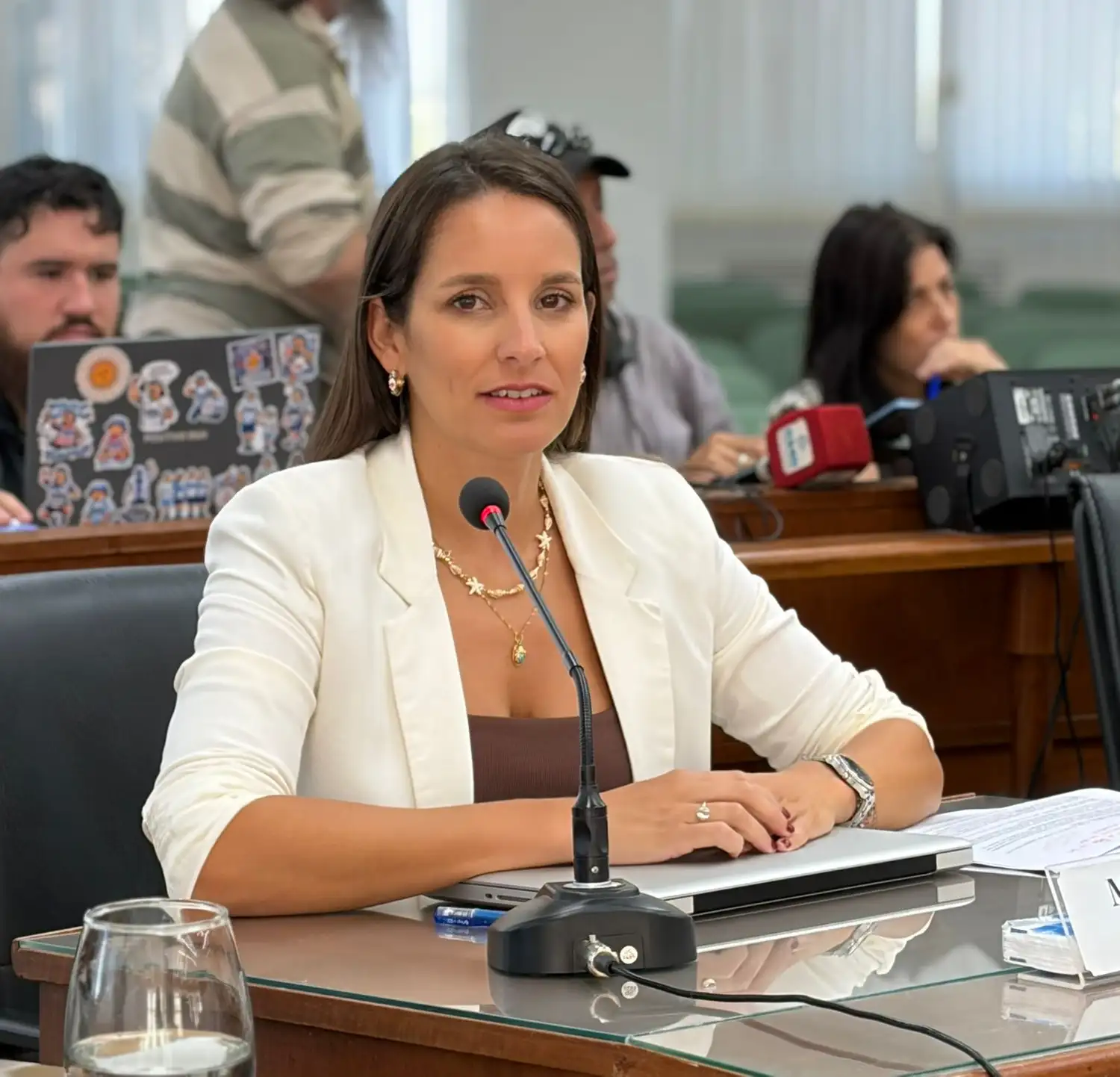 Concejo Municipal