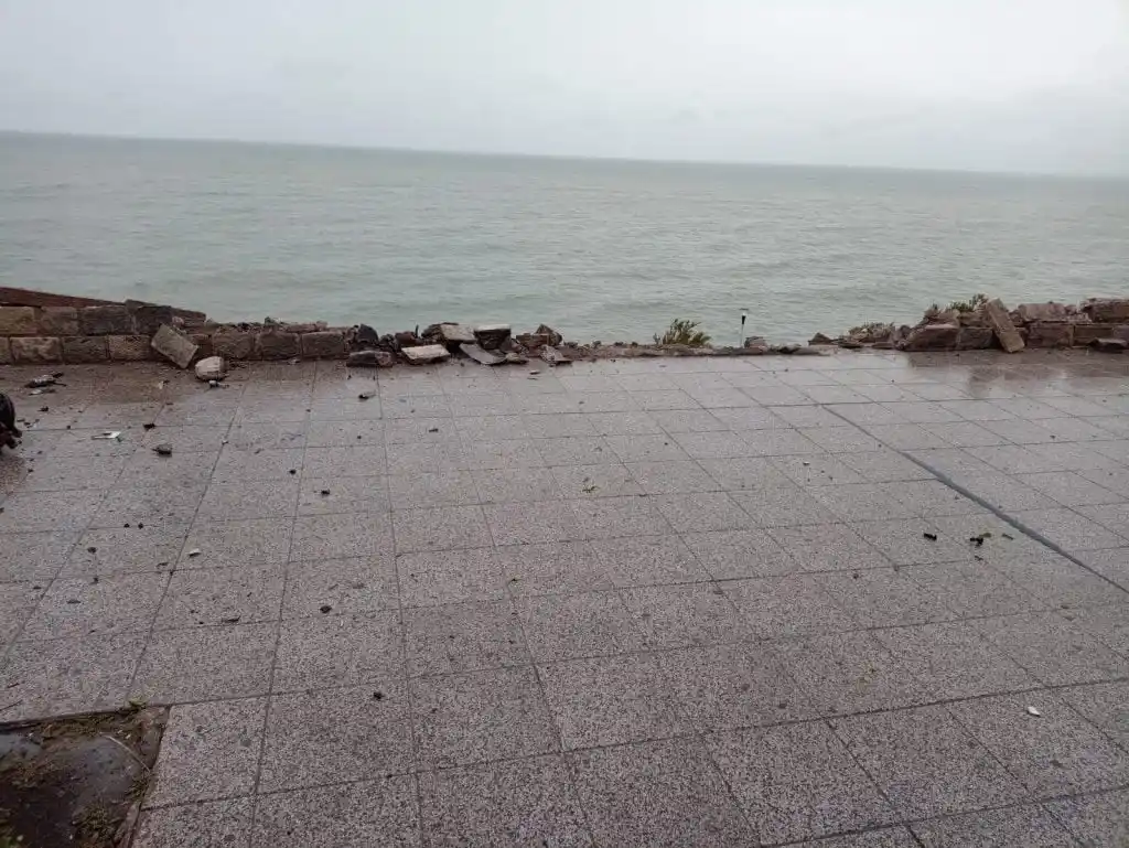 Mar del plata: chocó alcoholizado y deberá pagar los arreglos