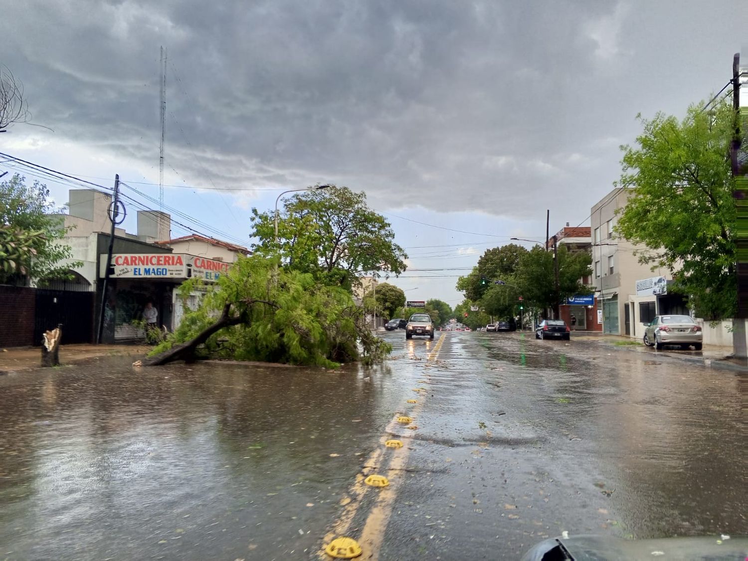 Fuerte tormenta de viento, lluvia y granizo: árboles caídos, cortes de luz y la bandera que no resistió