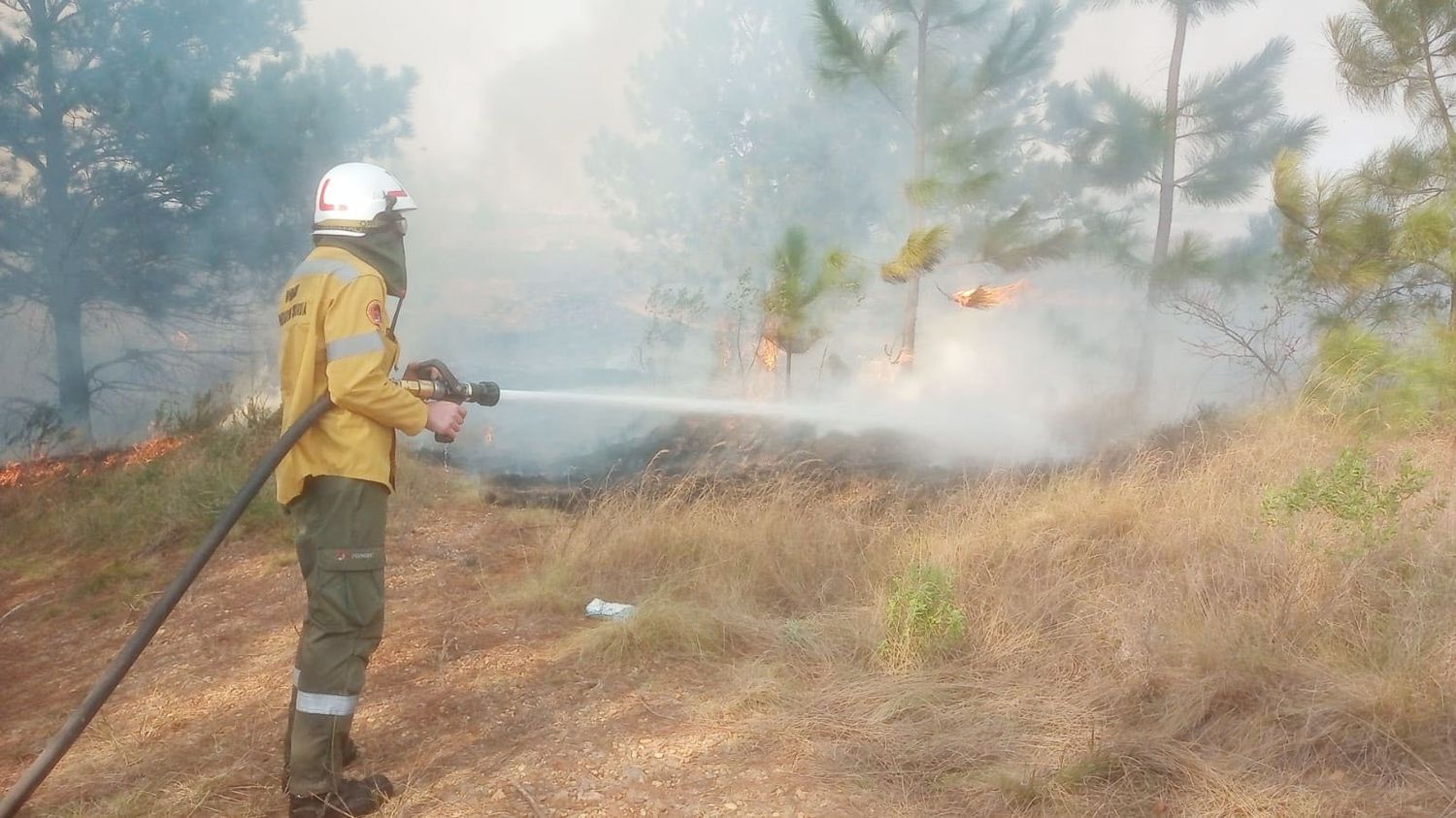 Villa Adela: Voraz incendio amenazó viviendas y aserraderos