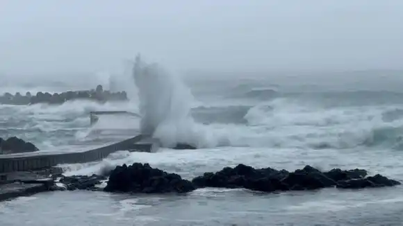 ¡ALARMA EN JAPÓN! Cientos de vuelos y trenes cancelados por un tifón que amenaza Tokio