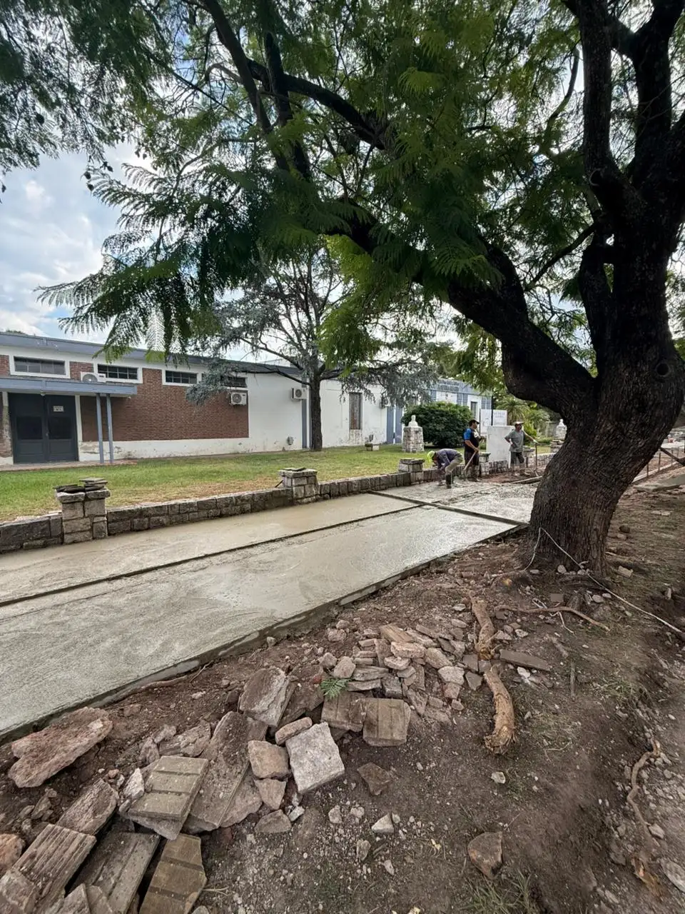 freyre obra