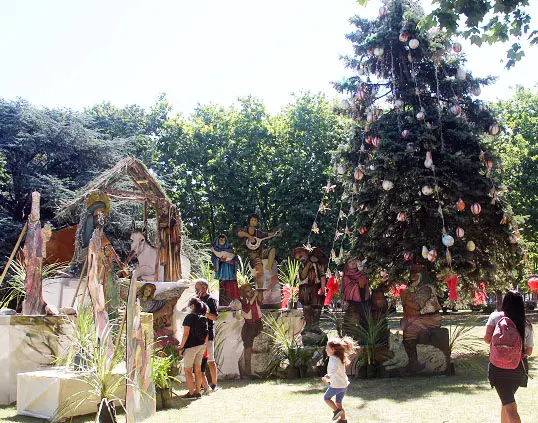 La plaza Rocha ya tiene su tradicional árbol de Navidad
