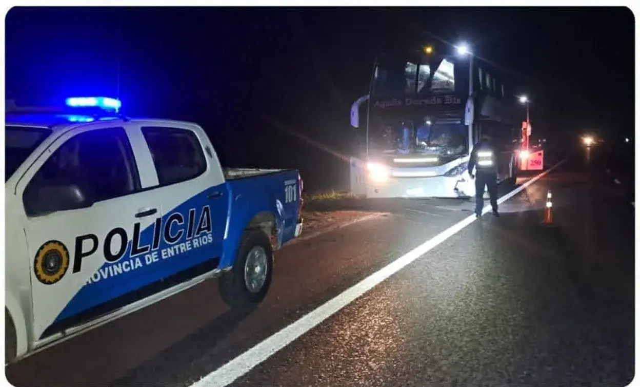 Un colectivo de larga distancia chocó contra un animal suelto en la Autovía Artigas