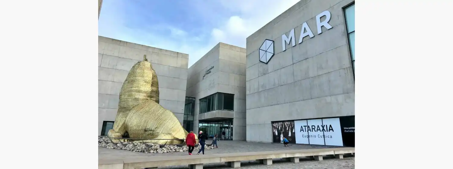 Museo MAR lanza un ciclo de música, artes audiovisuales y cortos