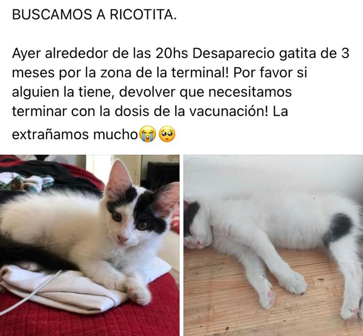 Buscan a Ricotita