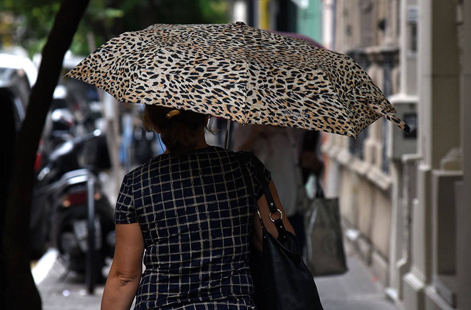 Miércoles lluvioso: alerta amarillo por tormentas fuertes y descenso de la temperatura en Rosario