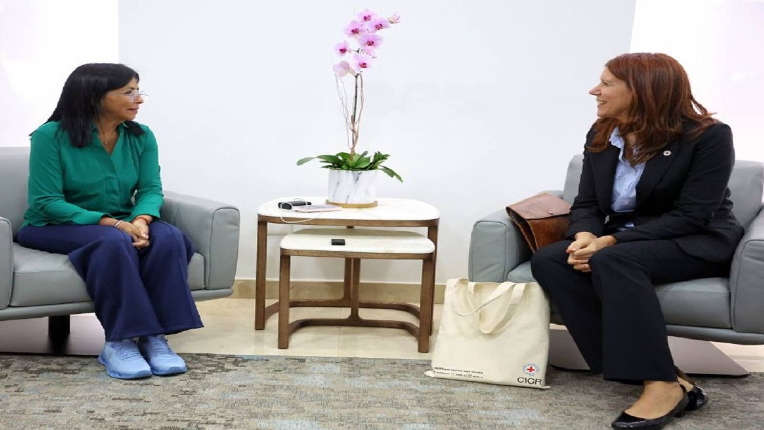 Gobierno y CRUZ ROJA VENEZOLANA exploran nuevas áreas de cooperación