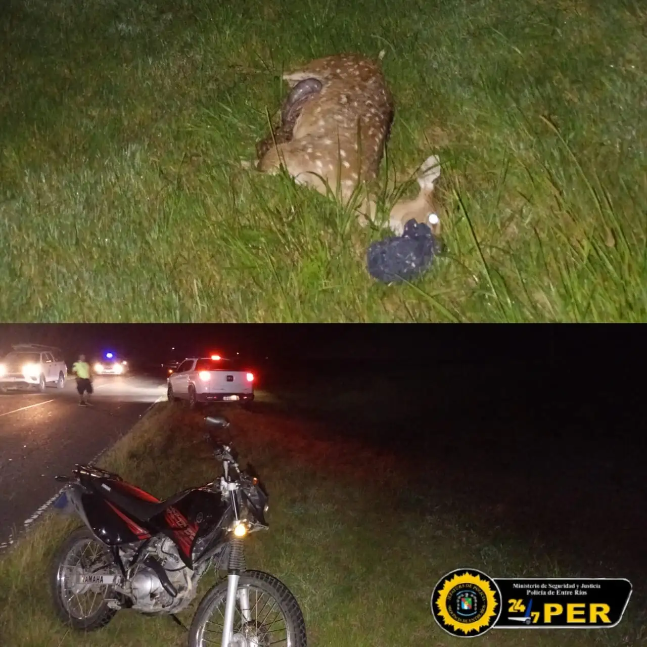 Motociclista chocó contra un ciervo en la Ruta 11 y sufrió lesiones leves