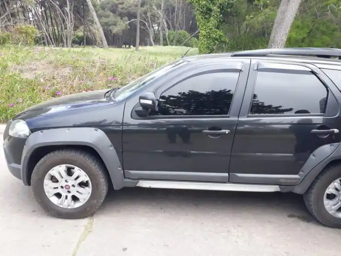 Incidente por perros en el Parque