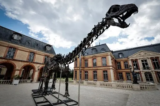 VULCAIN: el fósil de dinosaurio más grande jamás puesto a la venta será subastado en Francia (+Fotos)
