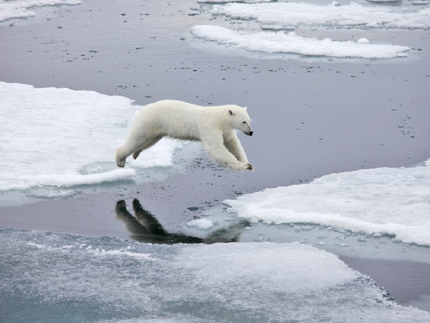 Asesores de la ONU advierten que "el cambio climático alterará la vida en la Tierra en 30 años"