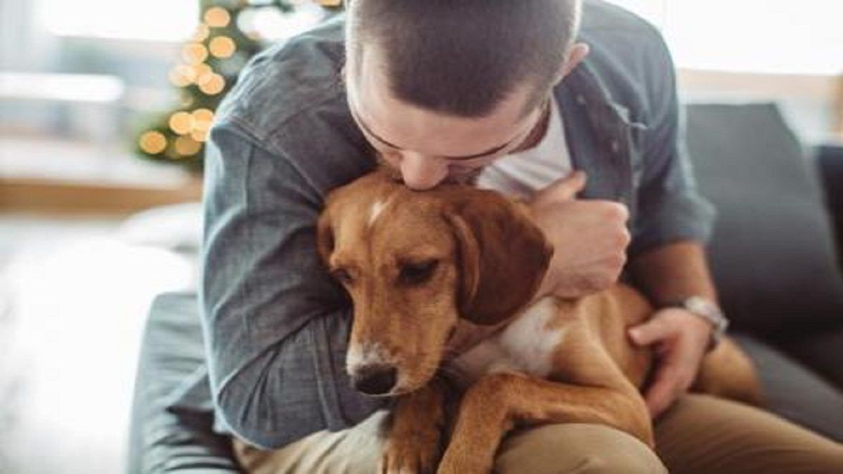 ¿Qué es la biofilia y por qué muchas personas sienten amor incondicional por su perro?
