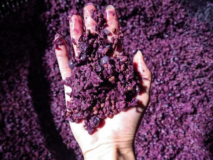 manos uvas