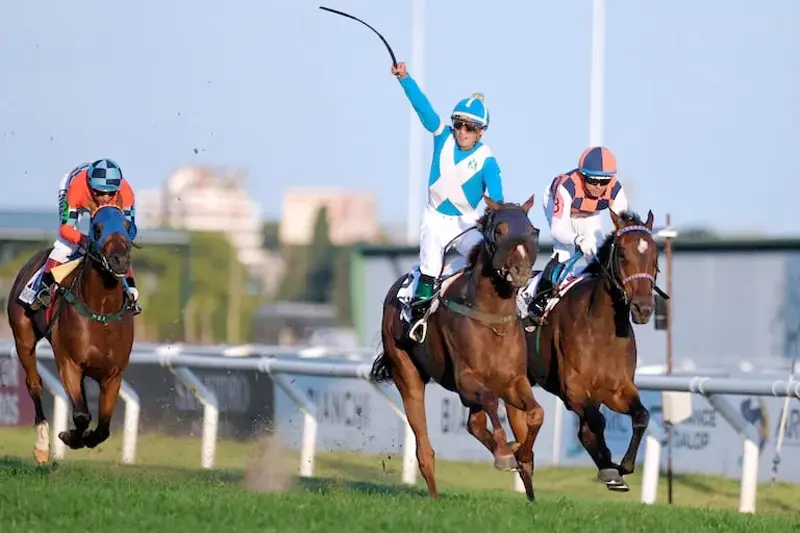 Viernes 12: Actividad Hipódromo de San Isidro