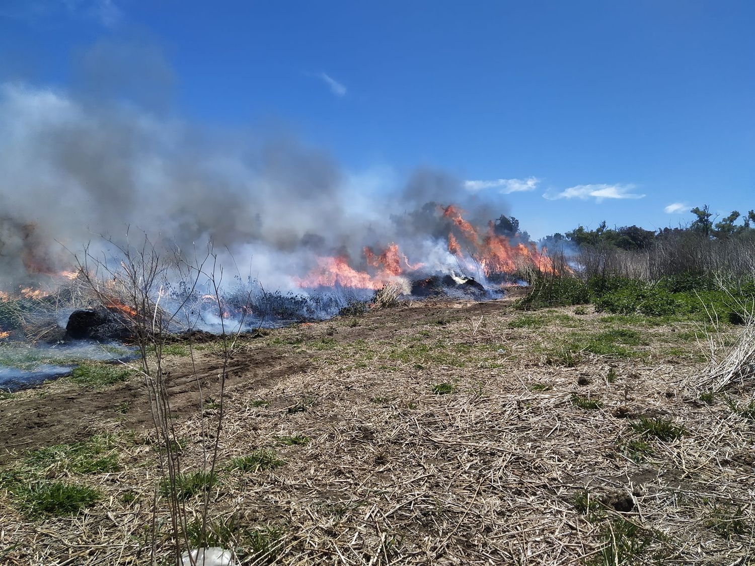 Entre Ríos tiene tres focos activos de incendios