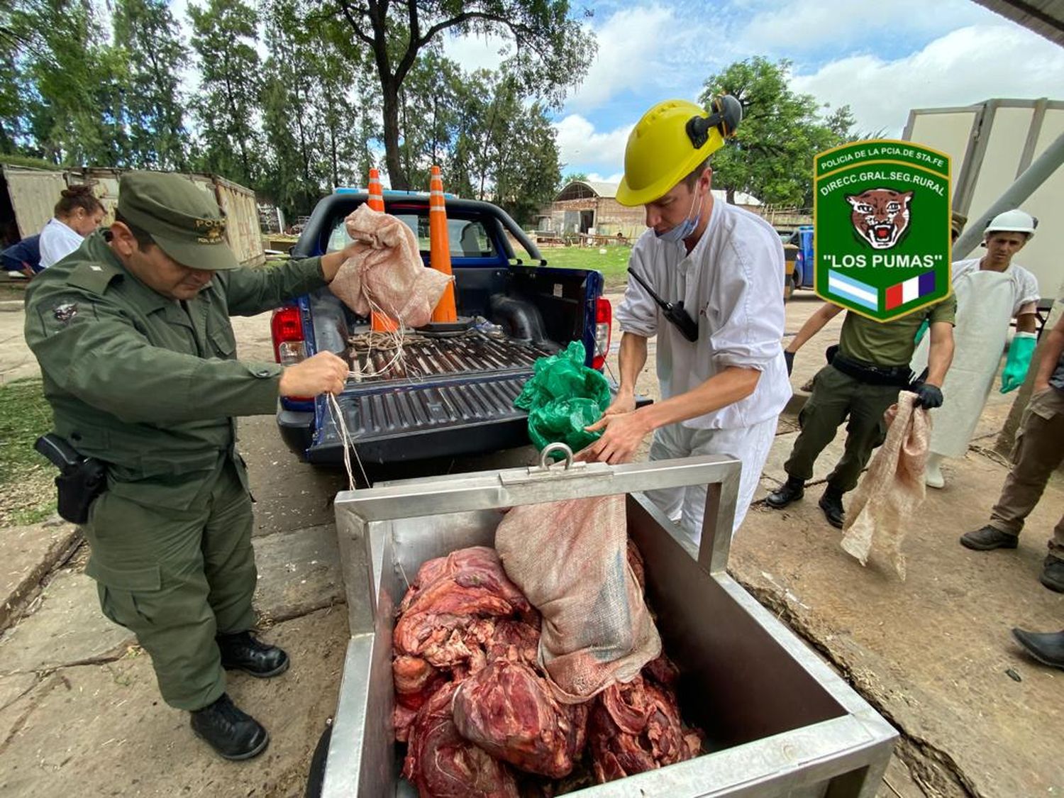 Carne incautada.