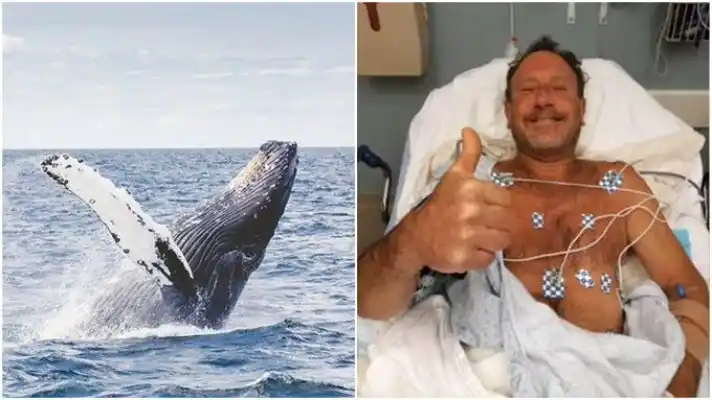 SOBREVIVIÓ PARA CONTARLO: pescador en EE.UU. asegura haber sido tragado por una ballena jorobada