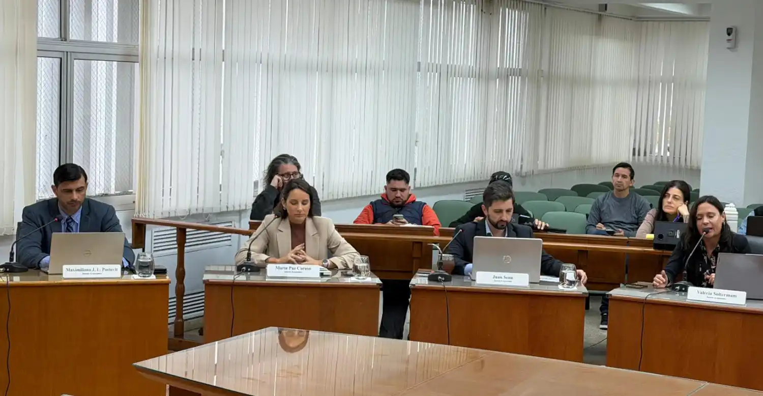 Concejales del PJ cuestionaron la falta de transparencia de la gestión Viotti