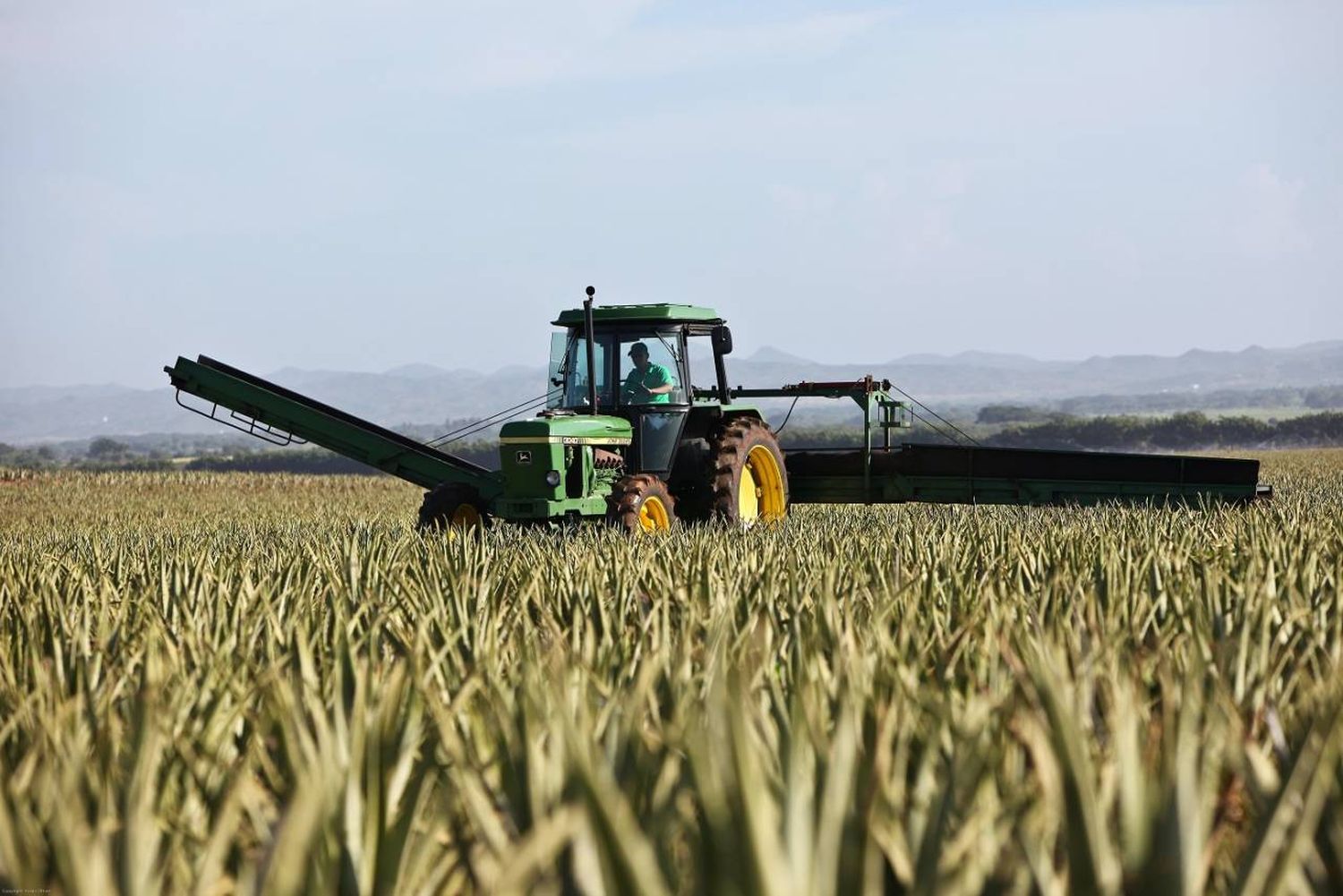 ¿Qué maquinarias agrícolas se utilizan en el momento de la cosecha?