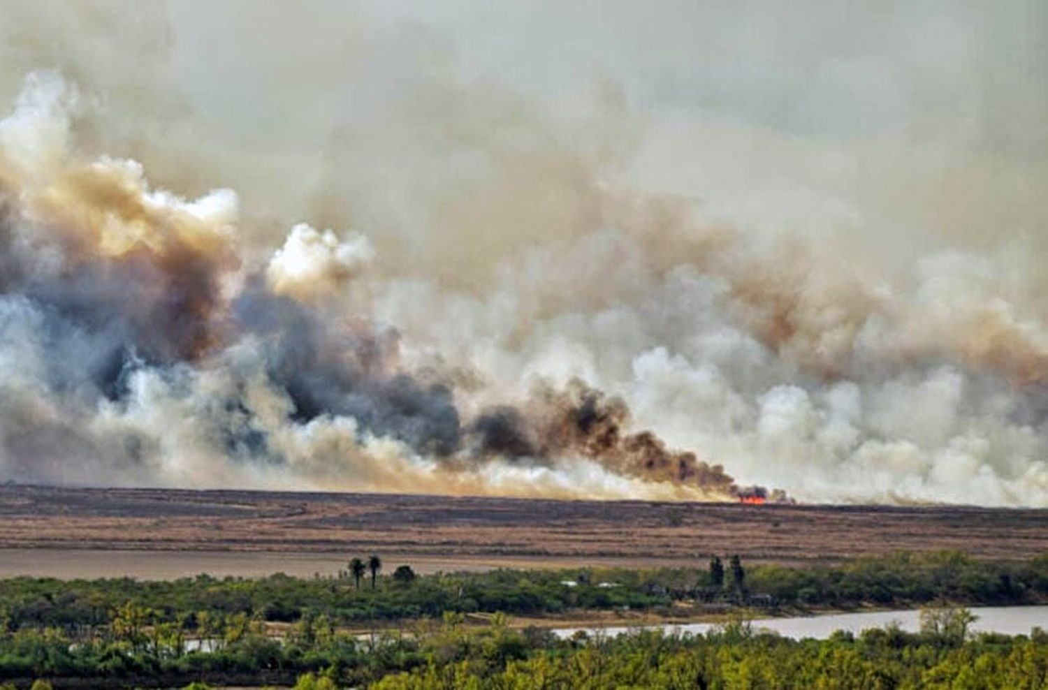 Estiman que ya se quemaron 9 veces la superficie de Rosario, en la zona islas