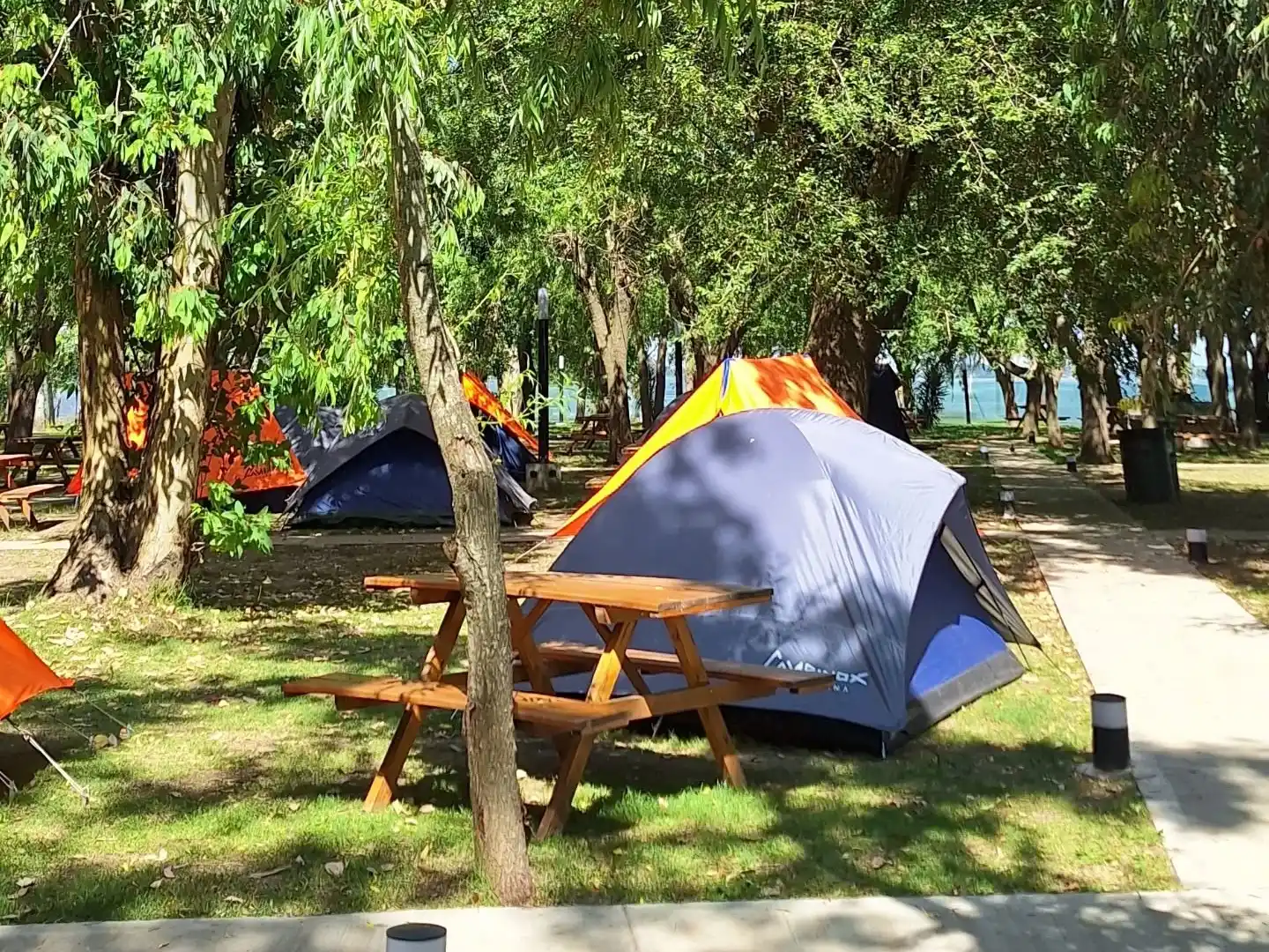 A orillas de la laguna: GyC Laguna Resort estrena pileta y consolida su propuesta de turismo sustentable