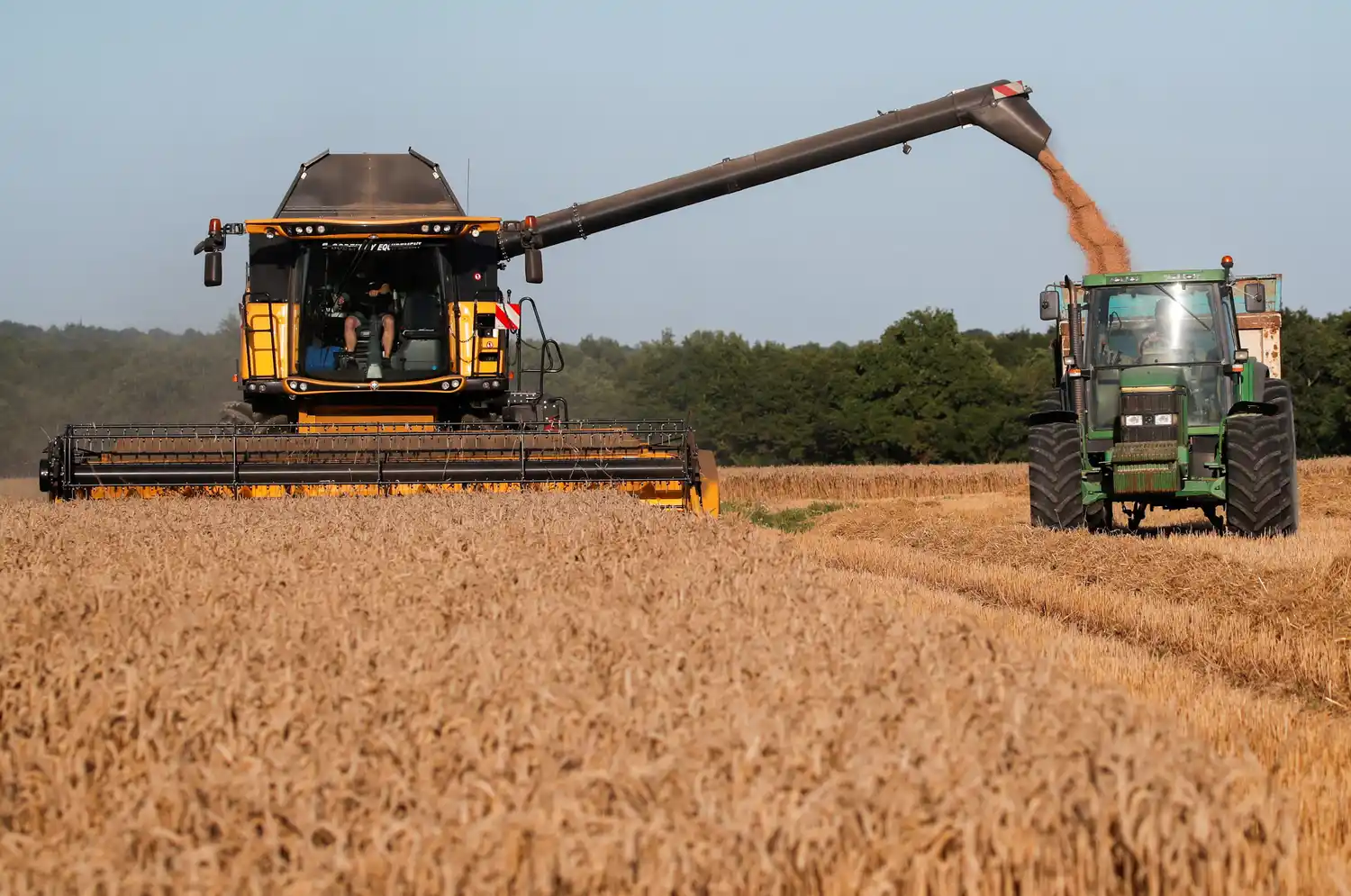 Cosecha 2026: soja y maíz muestran buen potencial, pero la falta de lluvias genera preocupación