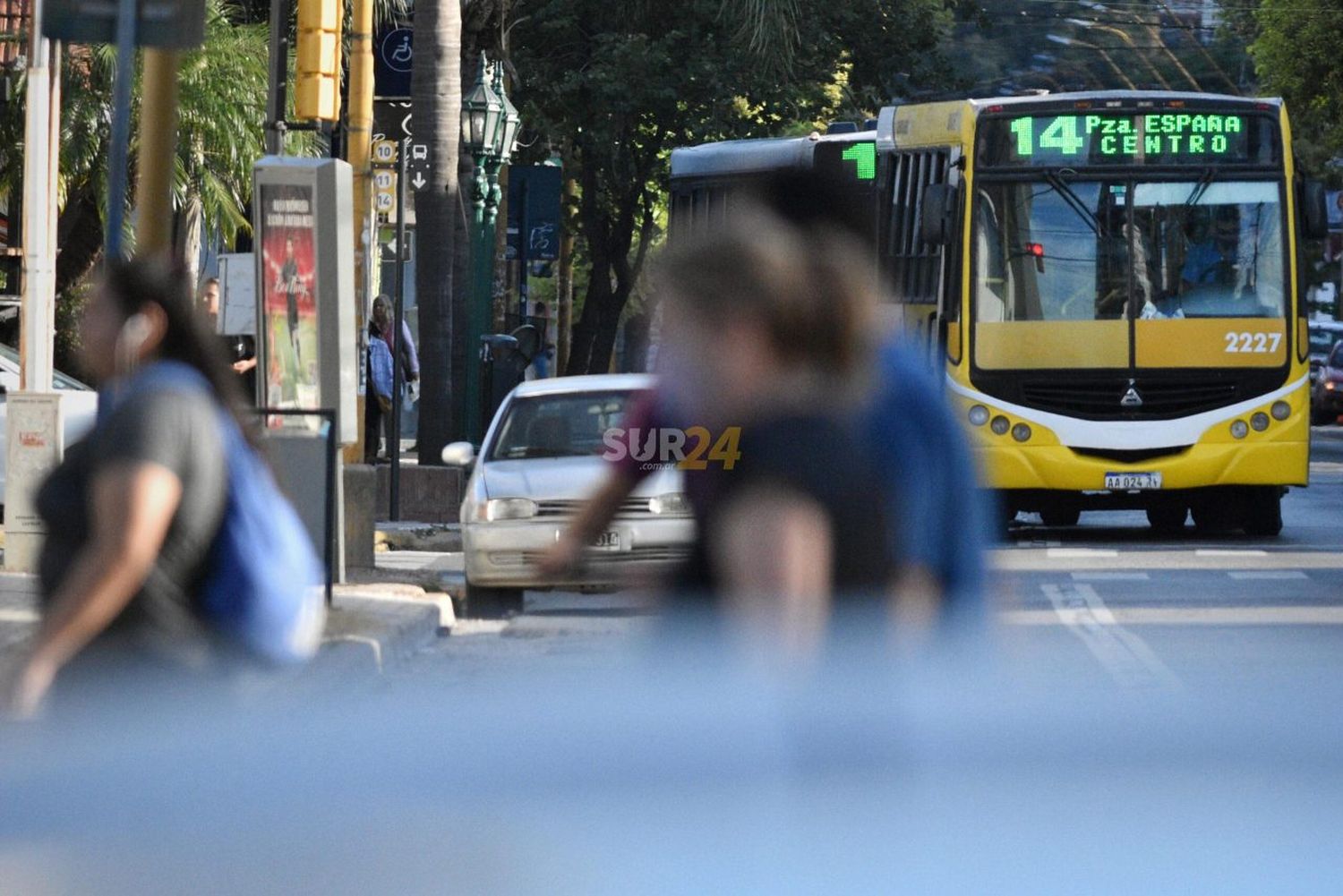 El transporte público de todo el país deberá llevar la frase “Las Islas Malvinas son argentinas”