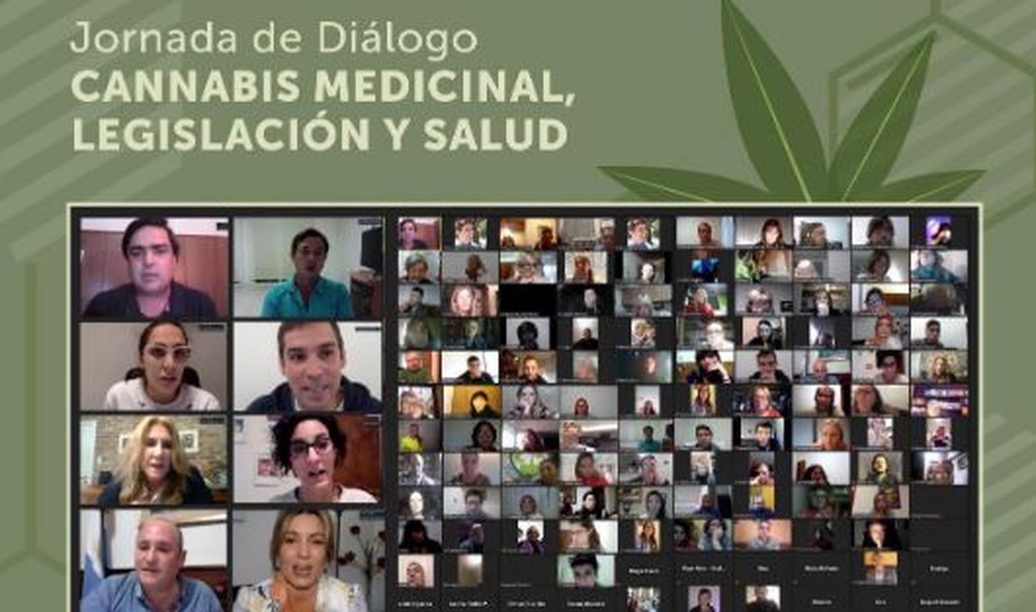 Cannabis medicinal: Jornada de debate virtual sobre legislación y salud organizada por el diputado Balbín